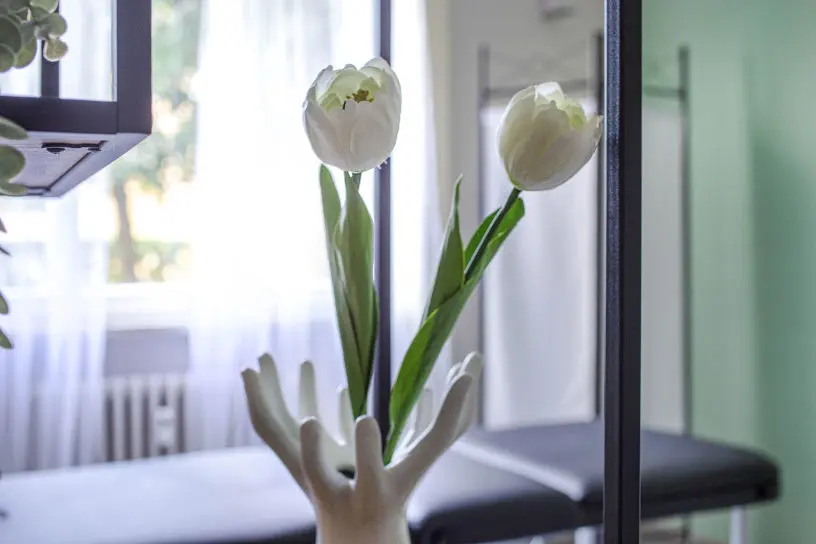 decorazione-staging-mani-tengono-fiori-tuilipani-bianchi